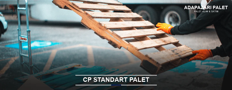 Adapazarı CP Palet Çözümleri