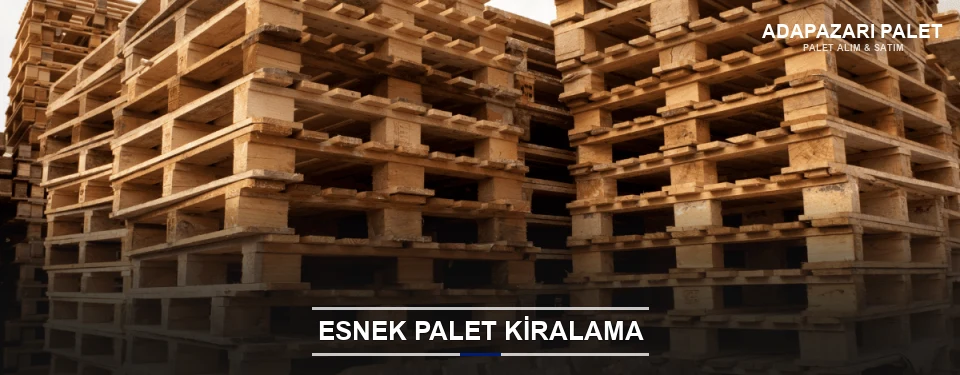 Adapazarı Uygun Fiyatlı Palet Kiralama Adapazarı Uygun Fiyatlı Palet Kiralama
